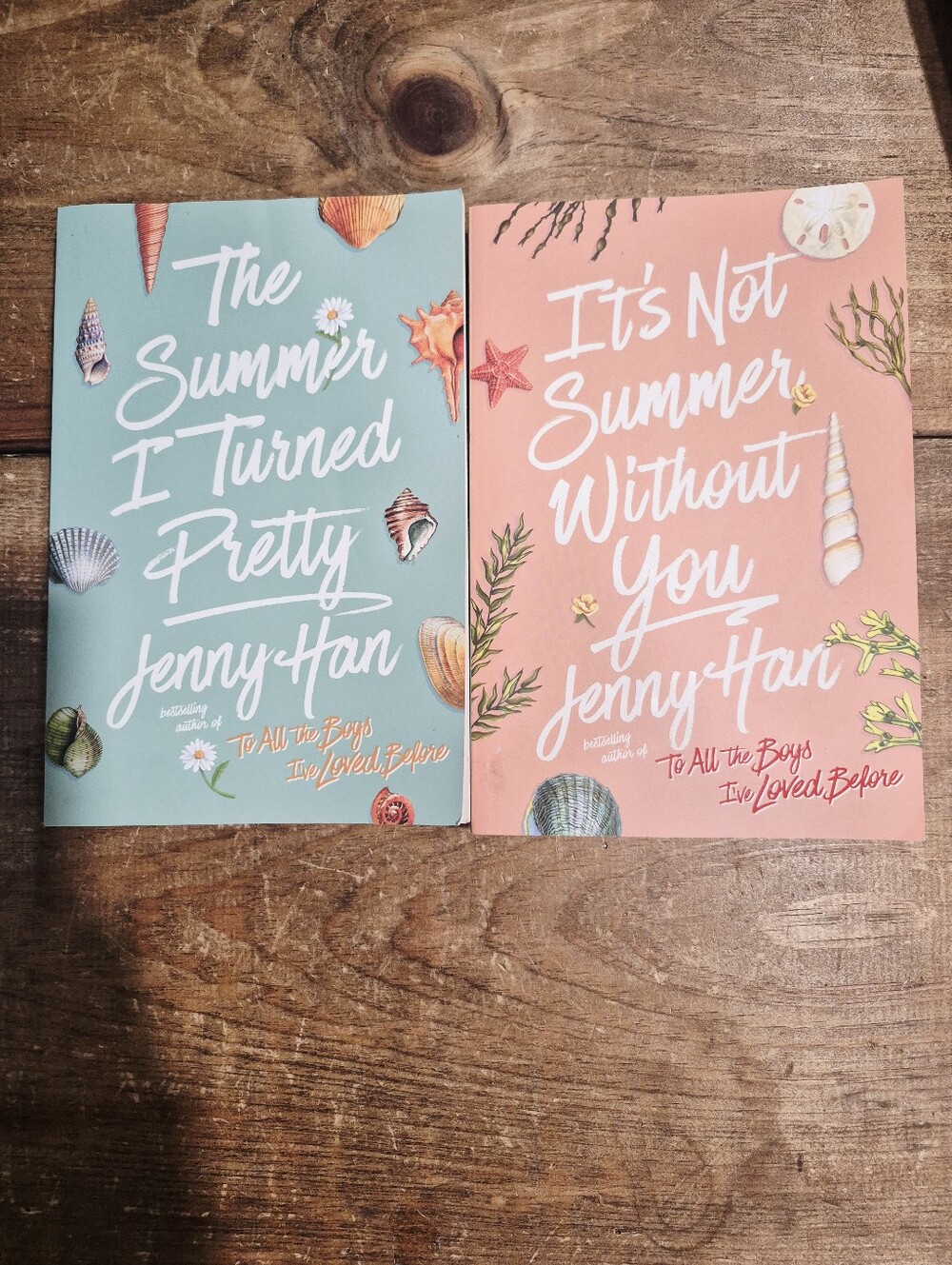 The Summer I Turned Pretty & It's Not Summer Without You by Jenny Han 2 Book Lot